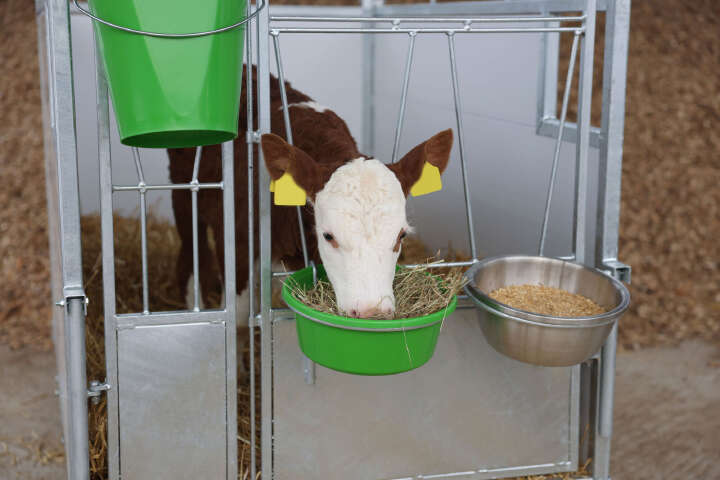 KERBL Kälberbox Premium mit schwenkbarem Boden